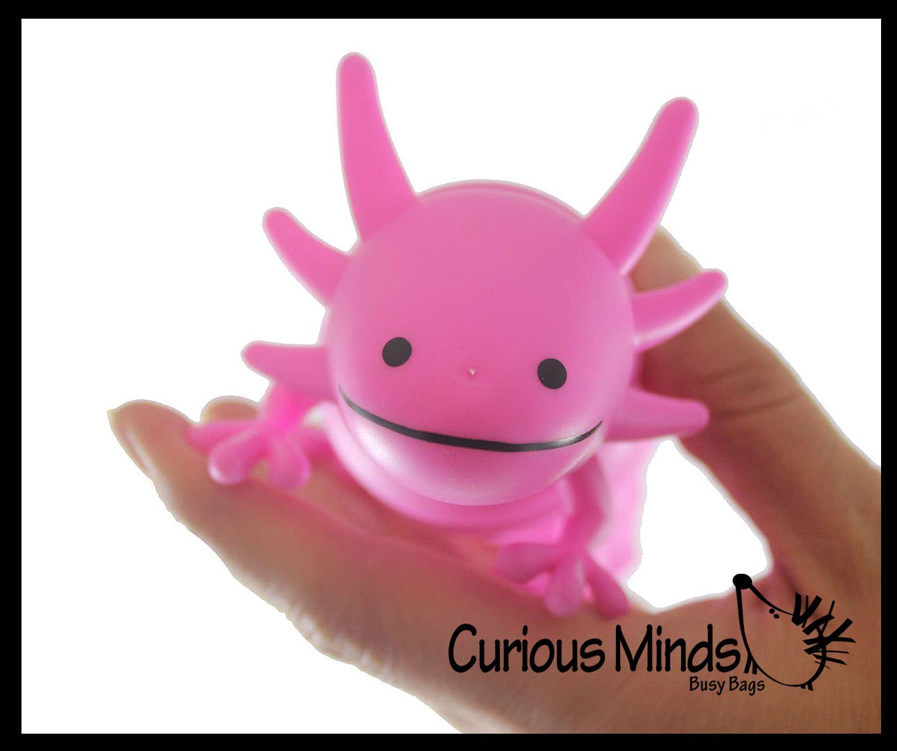 1 Axolotl Fidget - Large Wiggle Articulated Jointed Moving Curious Minds Toys