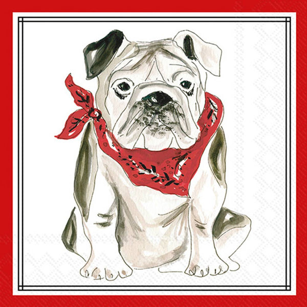 Paper Cocktail Napkins 20 Ct Red Bulldog Hometown Pride Boston International